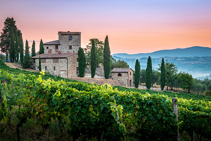 Italy7day 5 Beautiful Vineyards At Sunset In Tuscany